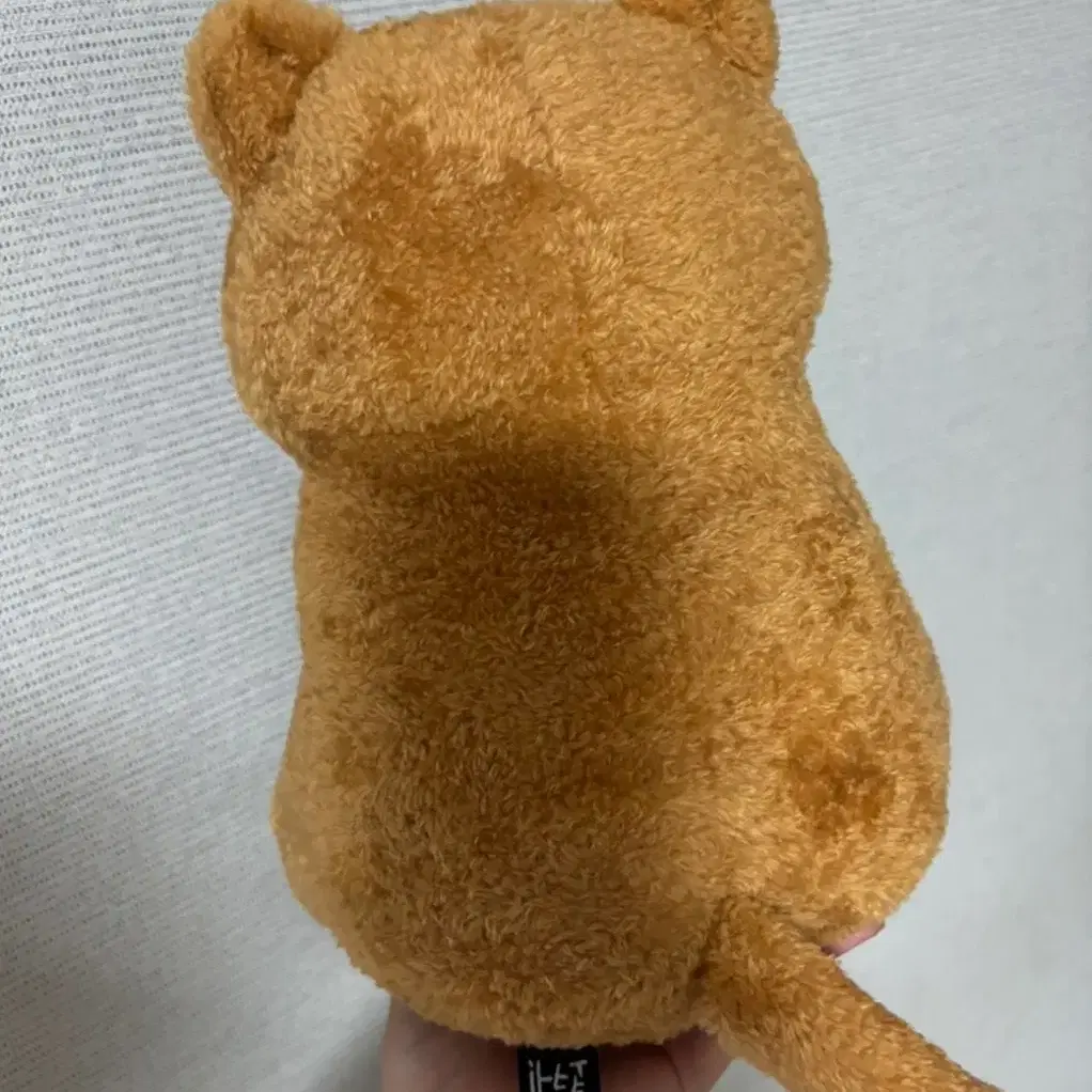 쿼카 인형 25cm