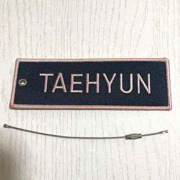 TXT ACTLOVESICK 네임 와펜 태현