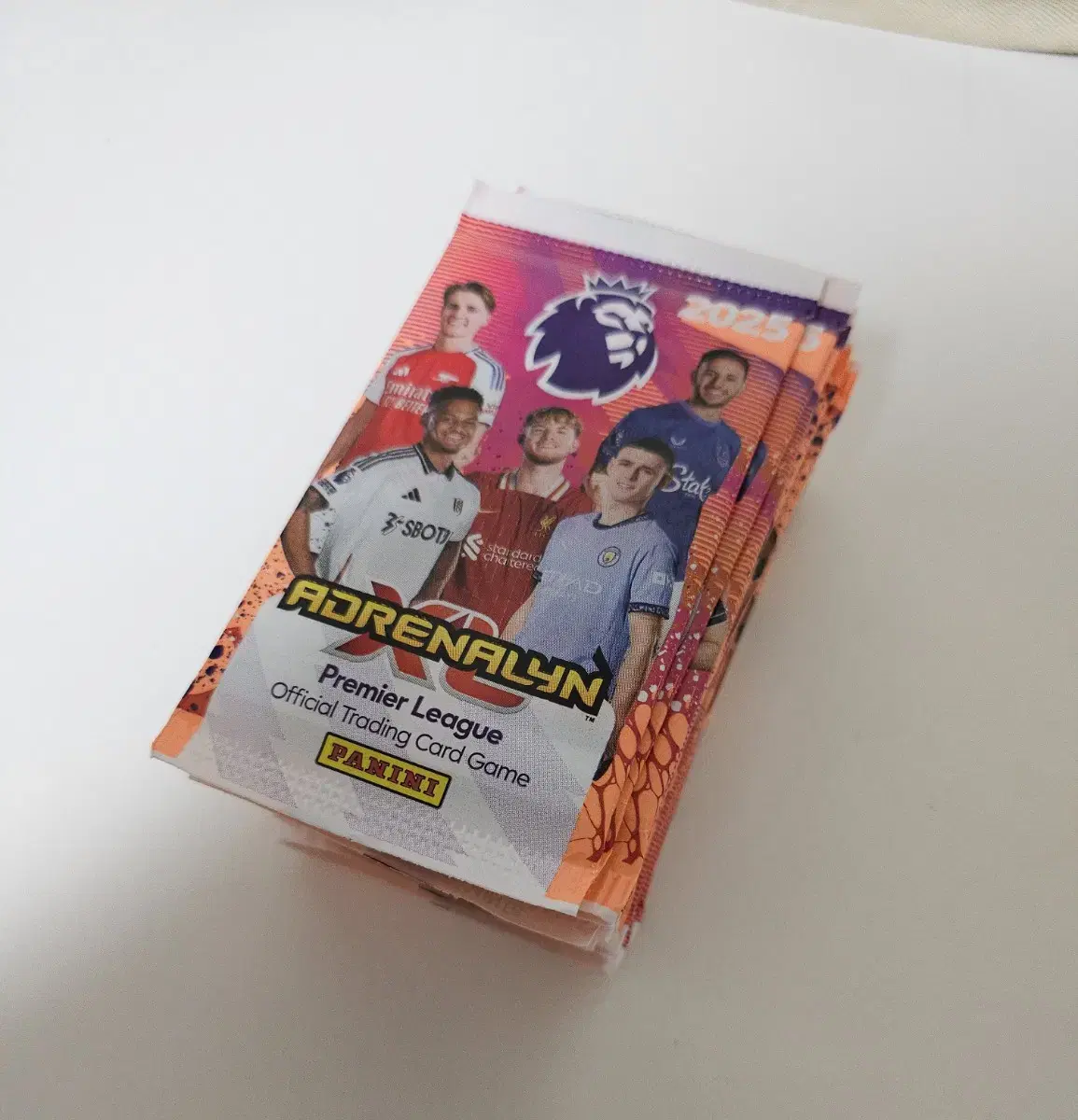 2025 EPL Panini