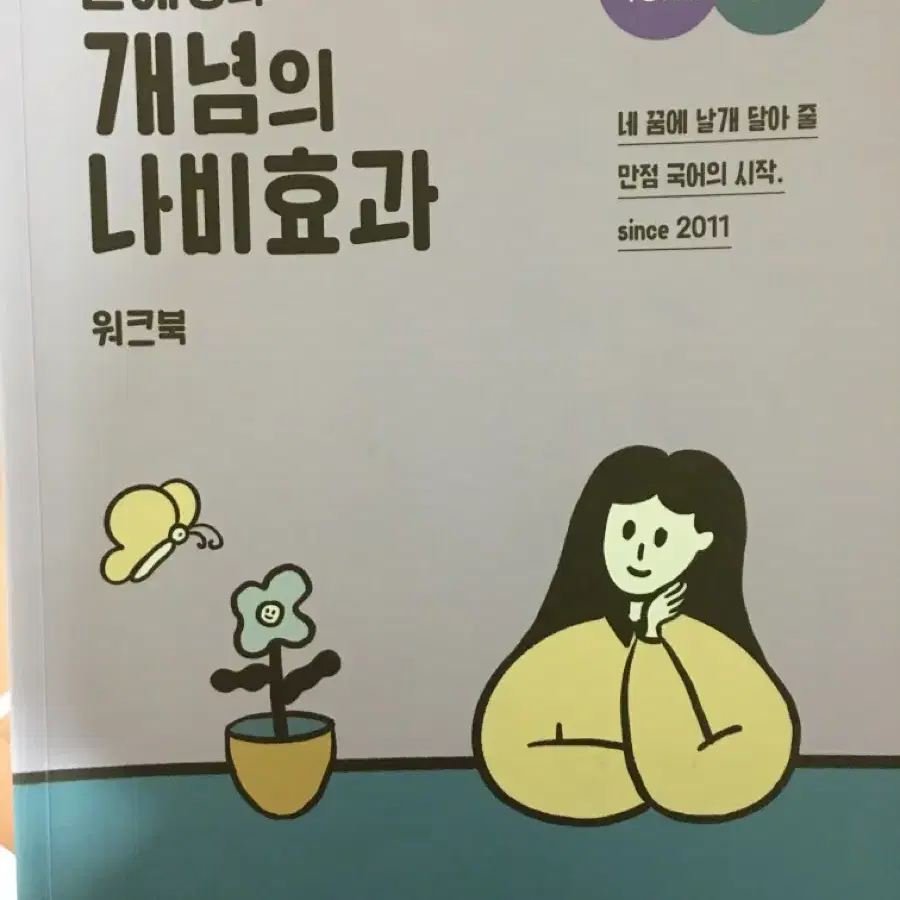 윤혜정 개념의 나비효과