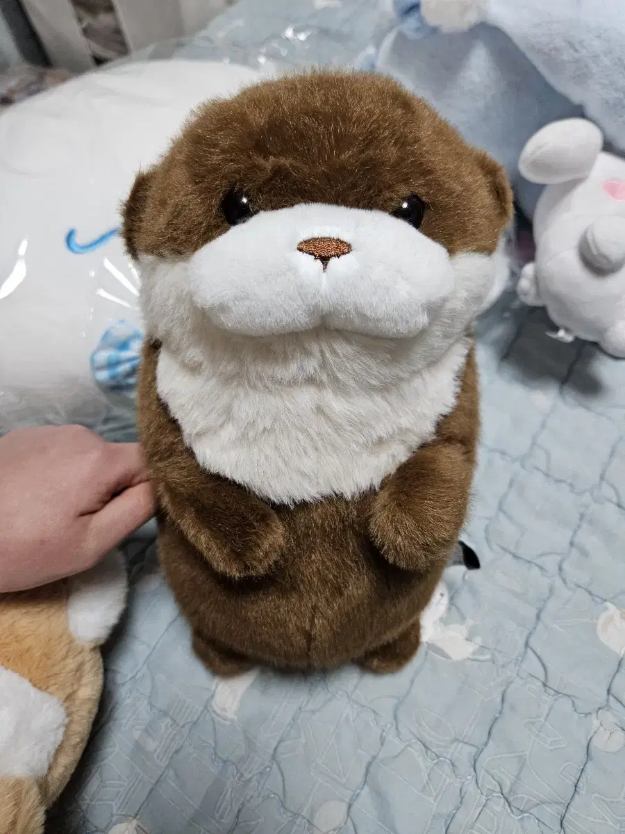 Otter doll