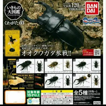 생물대도감 "장수풍뎅이 03" 총 5종 컴플리트