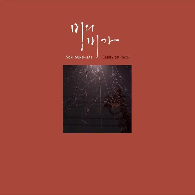 손성제 LP / 비의 비가