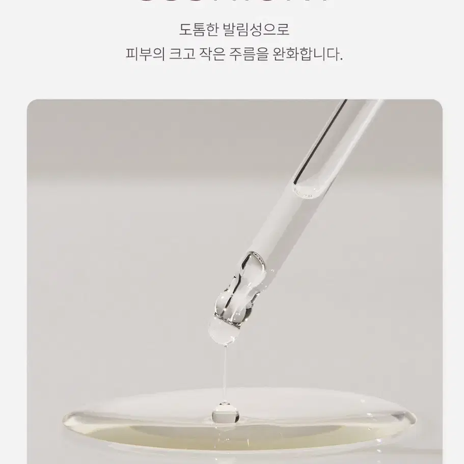 (무료배송) 시효 15번 백로 황금 얼리 링클 케어 앰플 20ml 탄력