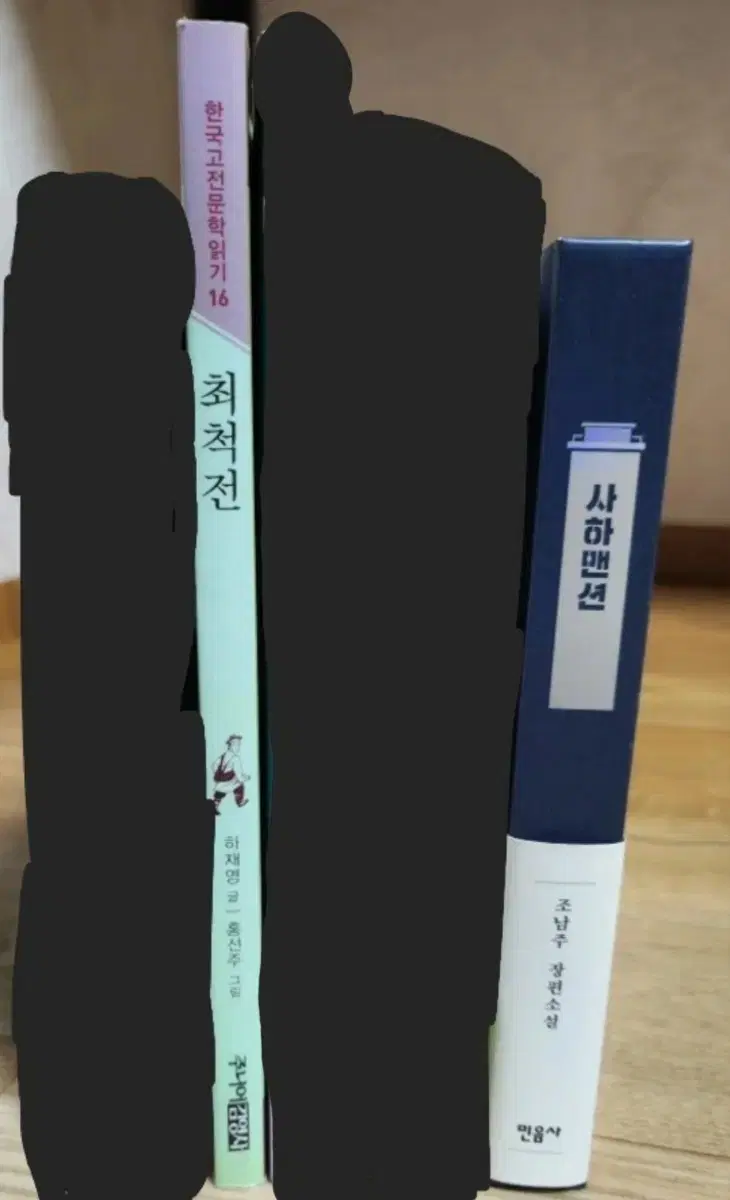 Choi Cheok-jeon, Sahamansion, book