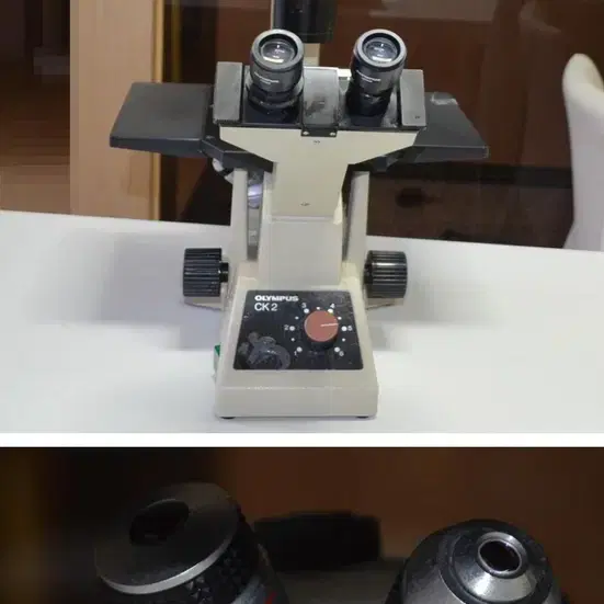 부품용 Olympus CK2 Microscope