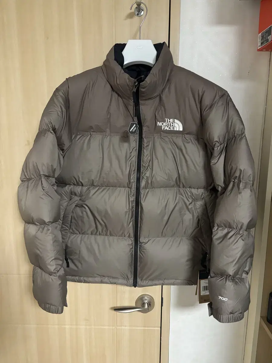 Noopsi Falcon Brown XL