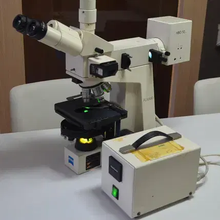 Zeiss Axiolab Fluorescence Microscope