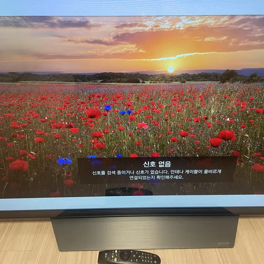 LG OLED 55