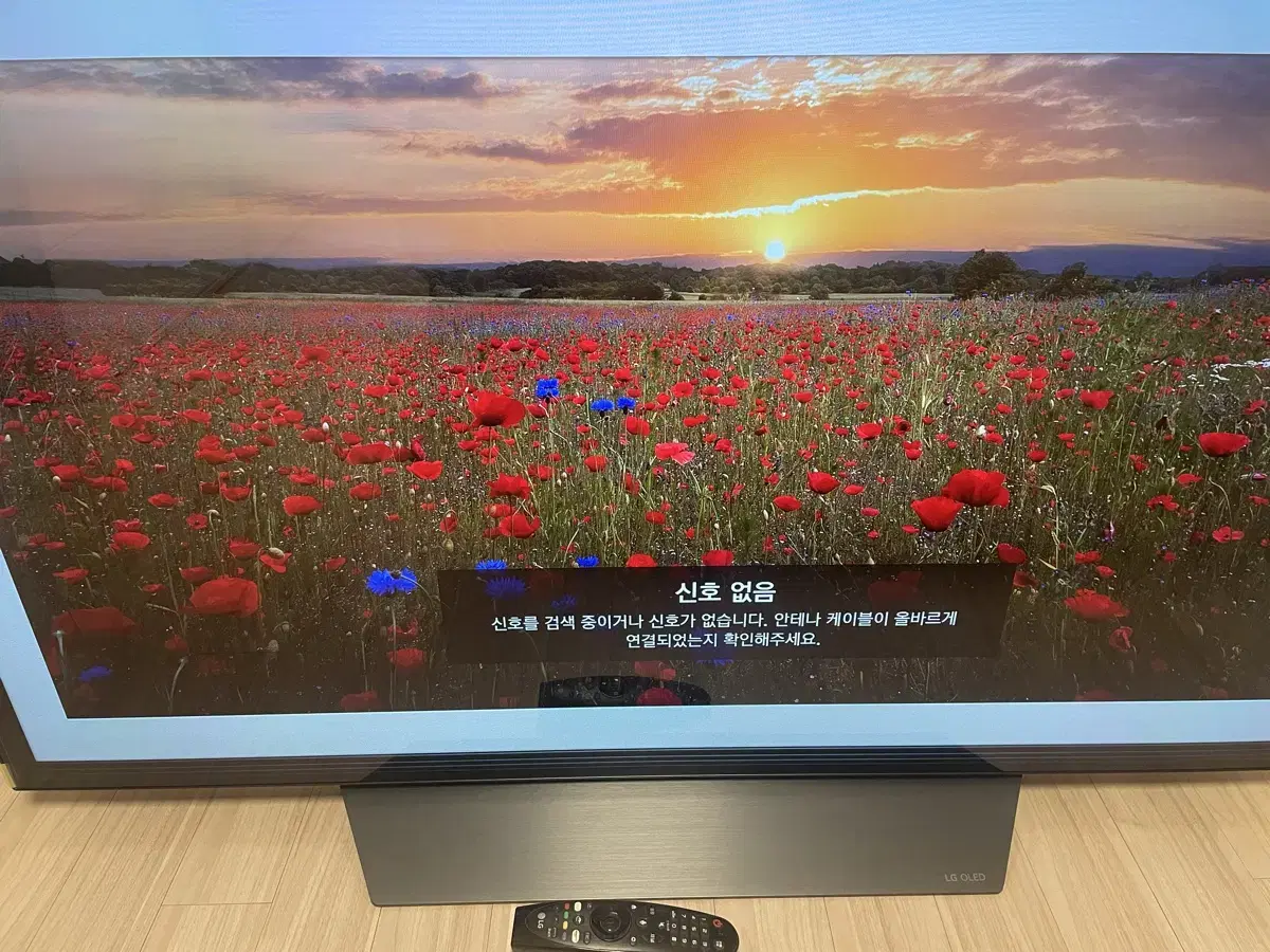 LG OLED 55