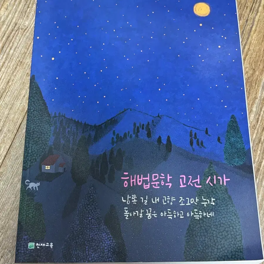 해법문학 고전 시가