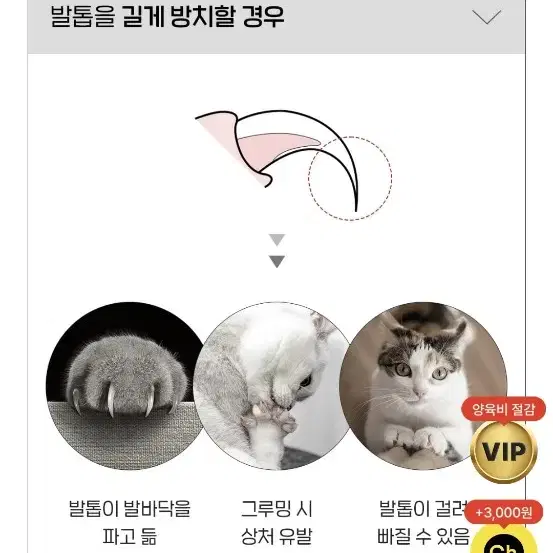 페스룸 고양이 발톱깎이