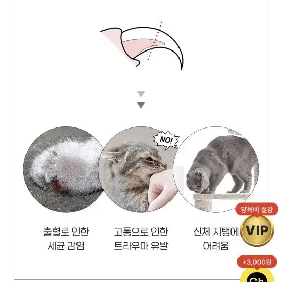 페스룸 고양이 발톱깎이