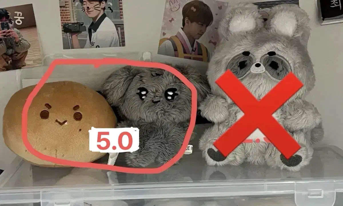 Seventeen mingyu Coops doll Gamguming nyomguming rabbit wts