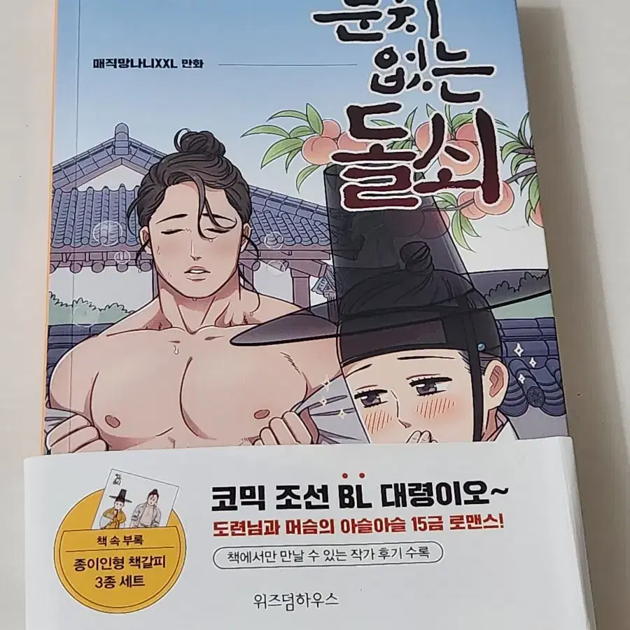 만화, 눈치없는 돌쇠