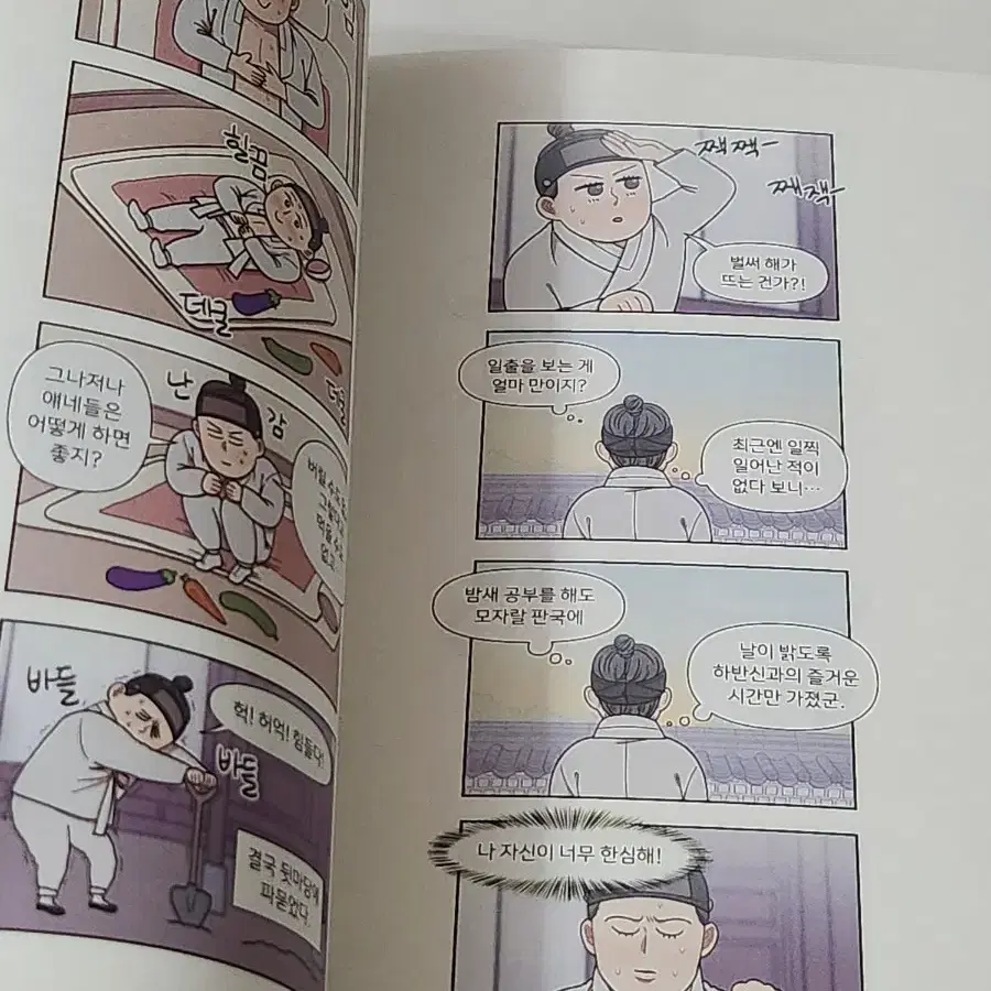 만화, 눈치없는 돌쇠