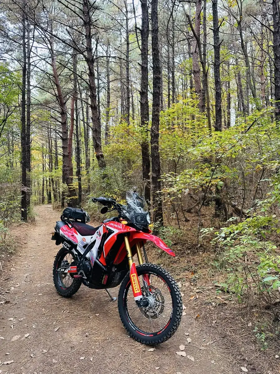 17년식 crf250랠리 판매