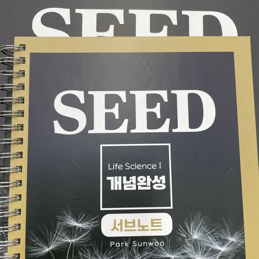 2026 박선우T SEED