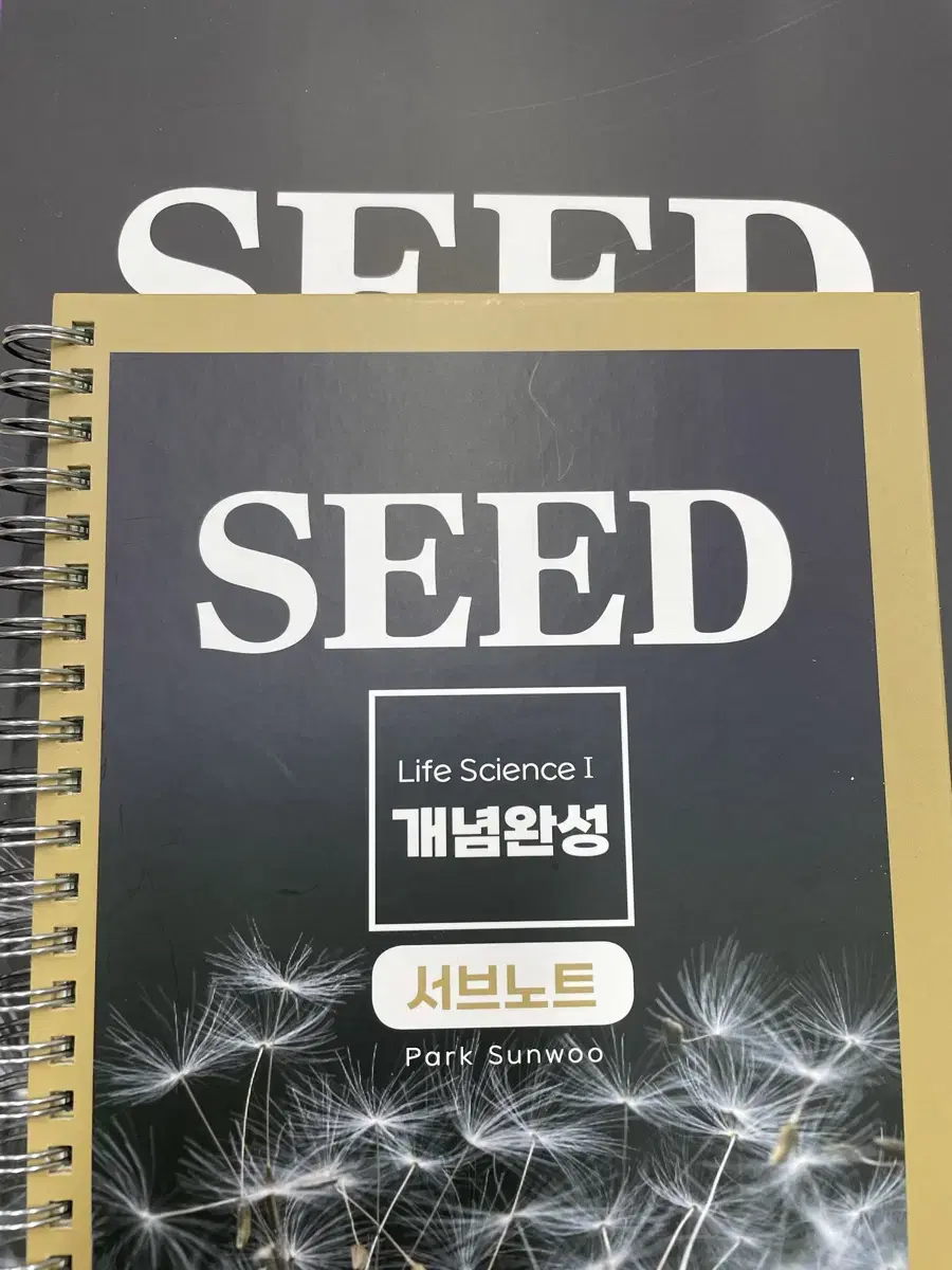 2026 박선우T SEED