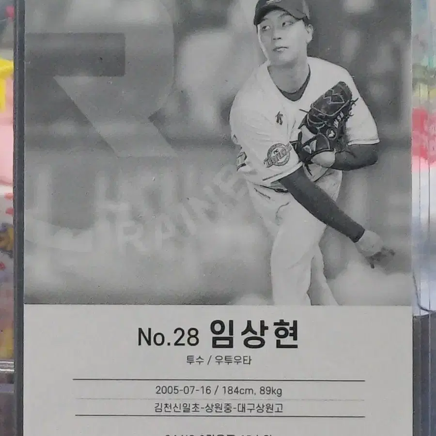 2024 kbo 레인보우 NC 오토 카드 임상현