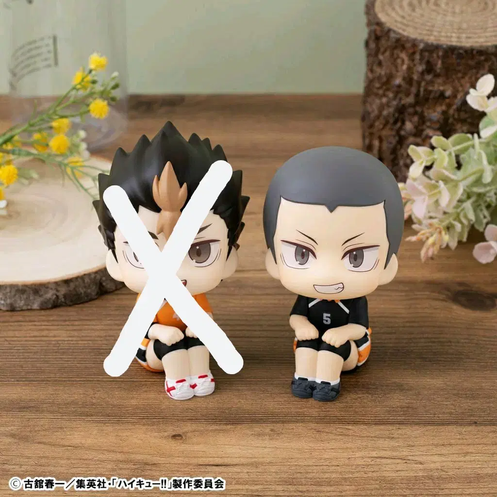 Haikyuu Lookup Cushion pre-order benefit with Nishinoya/Tanaka buncheol!