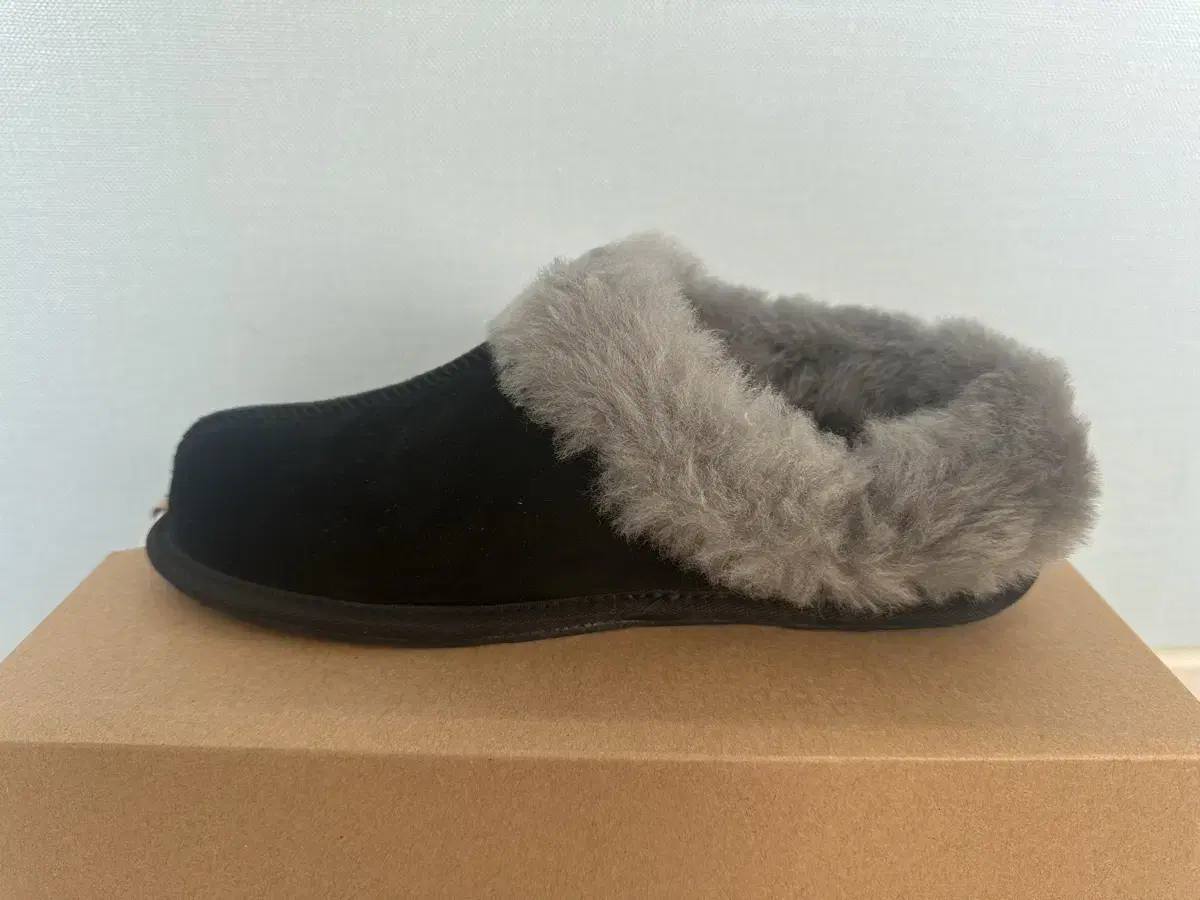 Ugg Women's Slippers 240,250 [New]