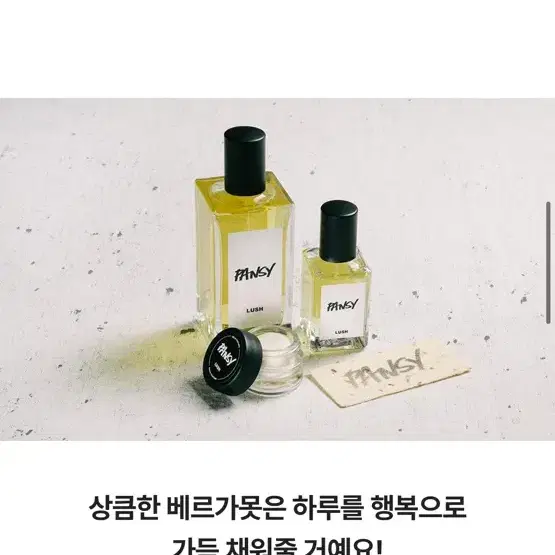 러쉬 팬지 30ml