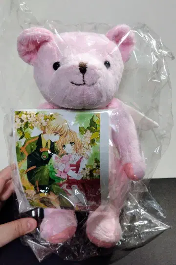 카드캡터 사쿠라 곰 봉제 인형