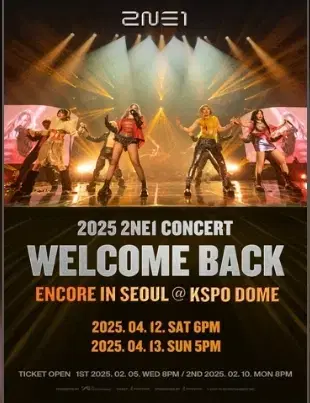 (인터파크 전문) 2NE1 콘서트 대리