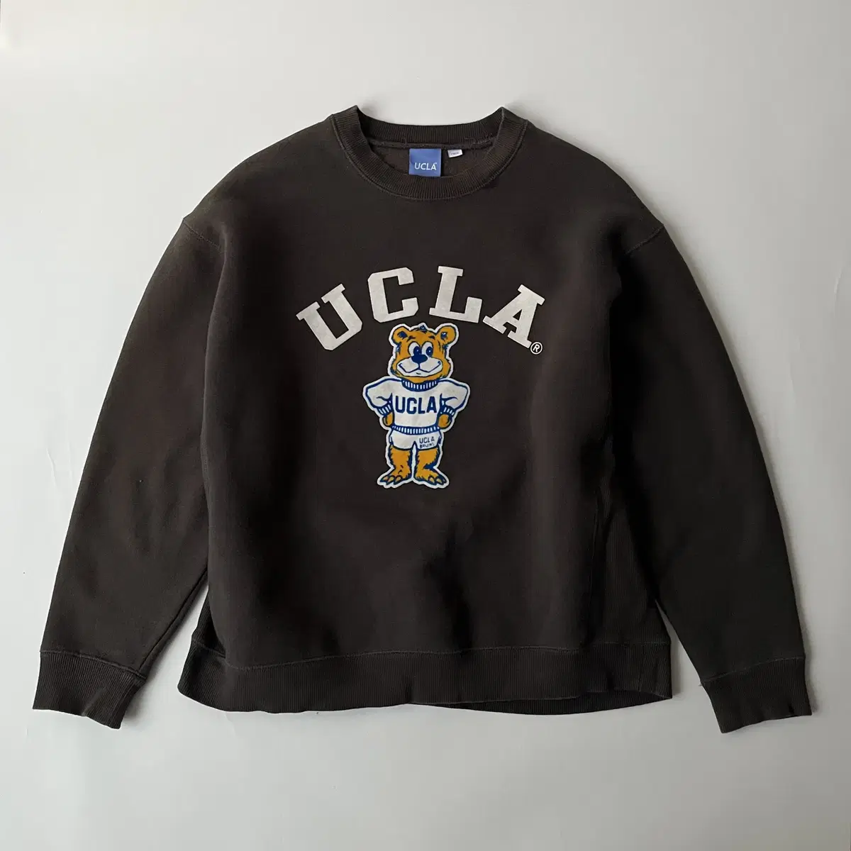 UCLA sweatshirt