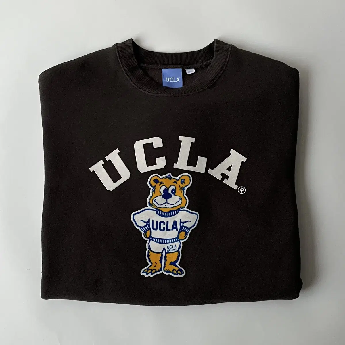 UCLA sweatshirt