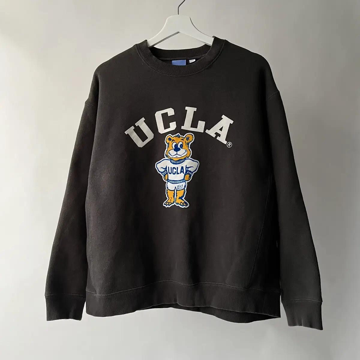 UCLA sweatshirt