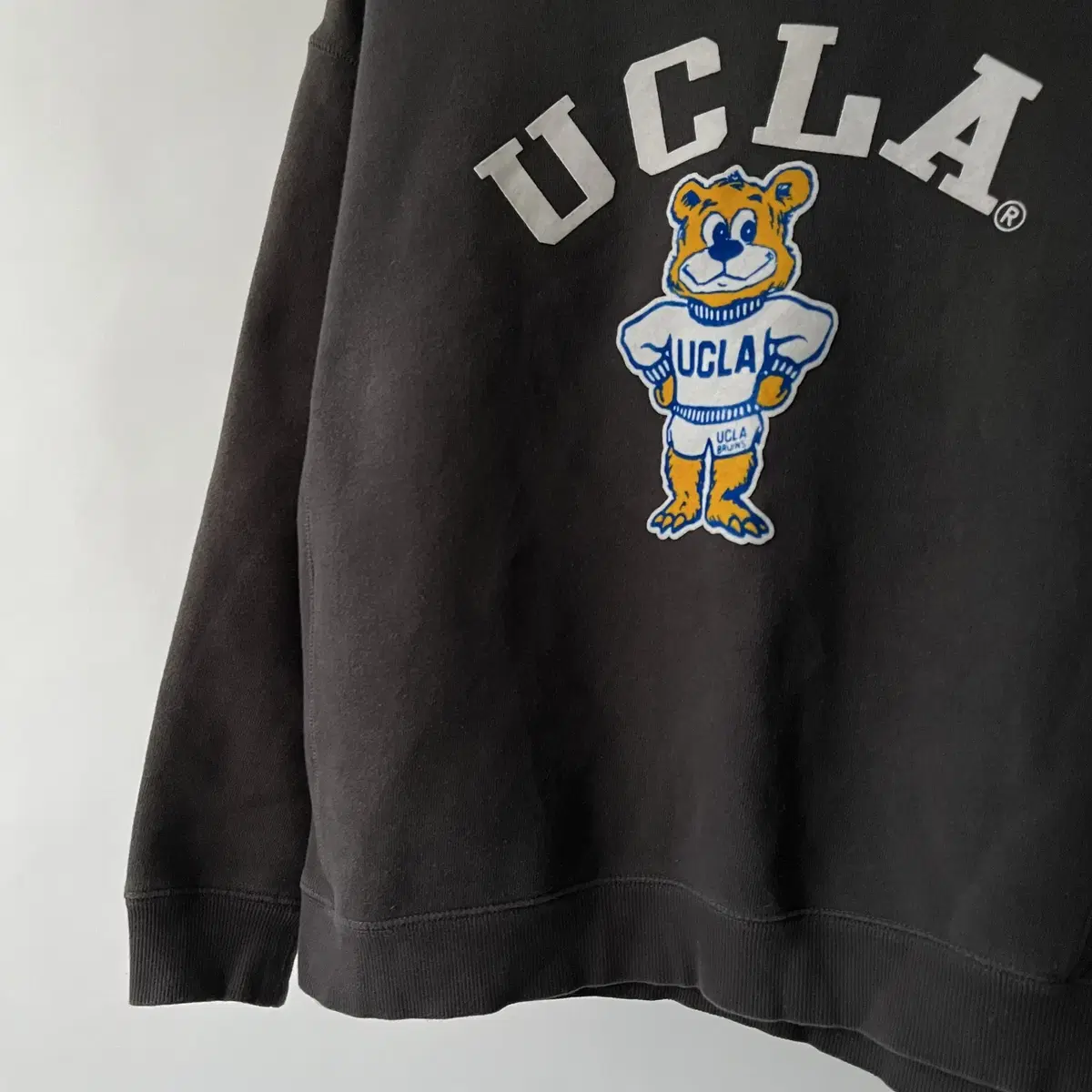 UCLA sweatshirt