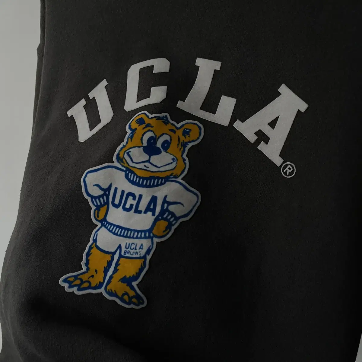 UCLA sweatshirt