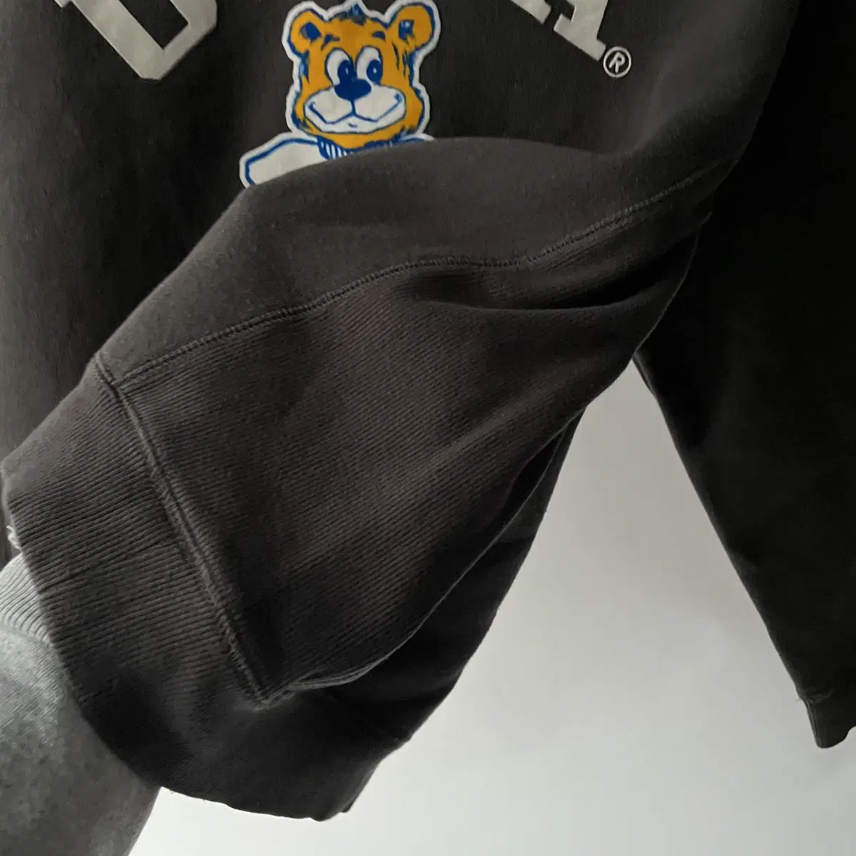 UCLA sweatshirt