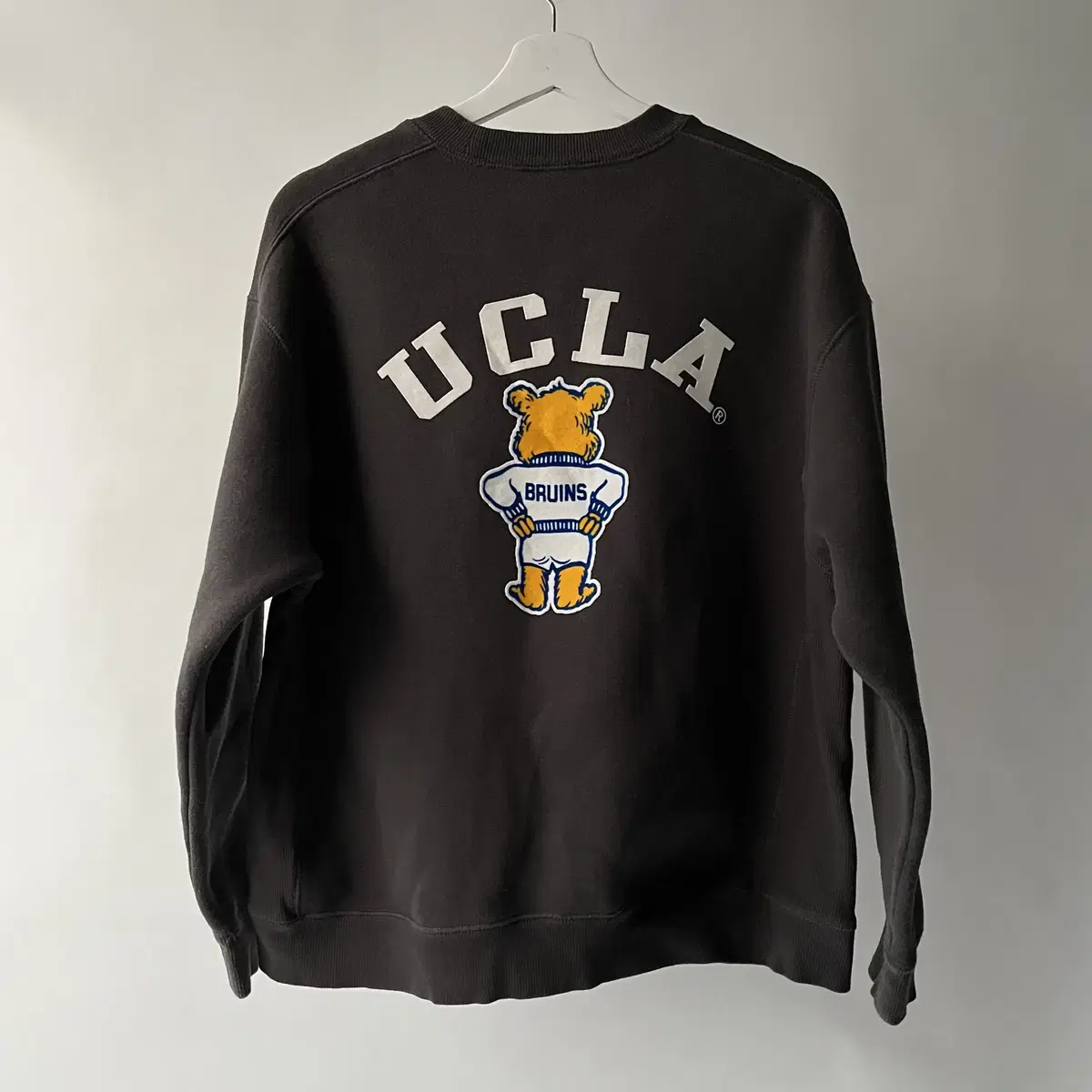 UCLA sweatshirt