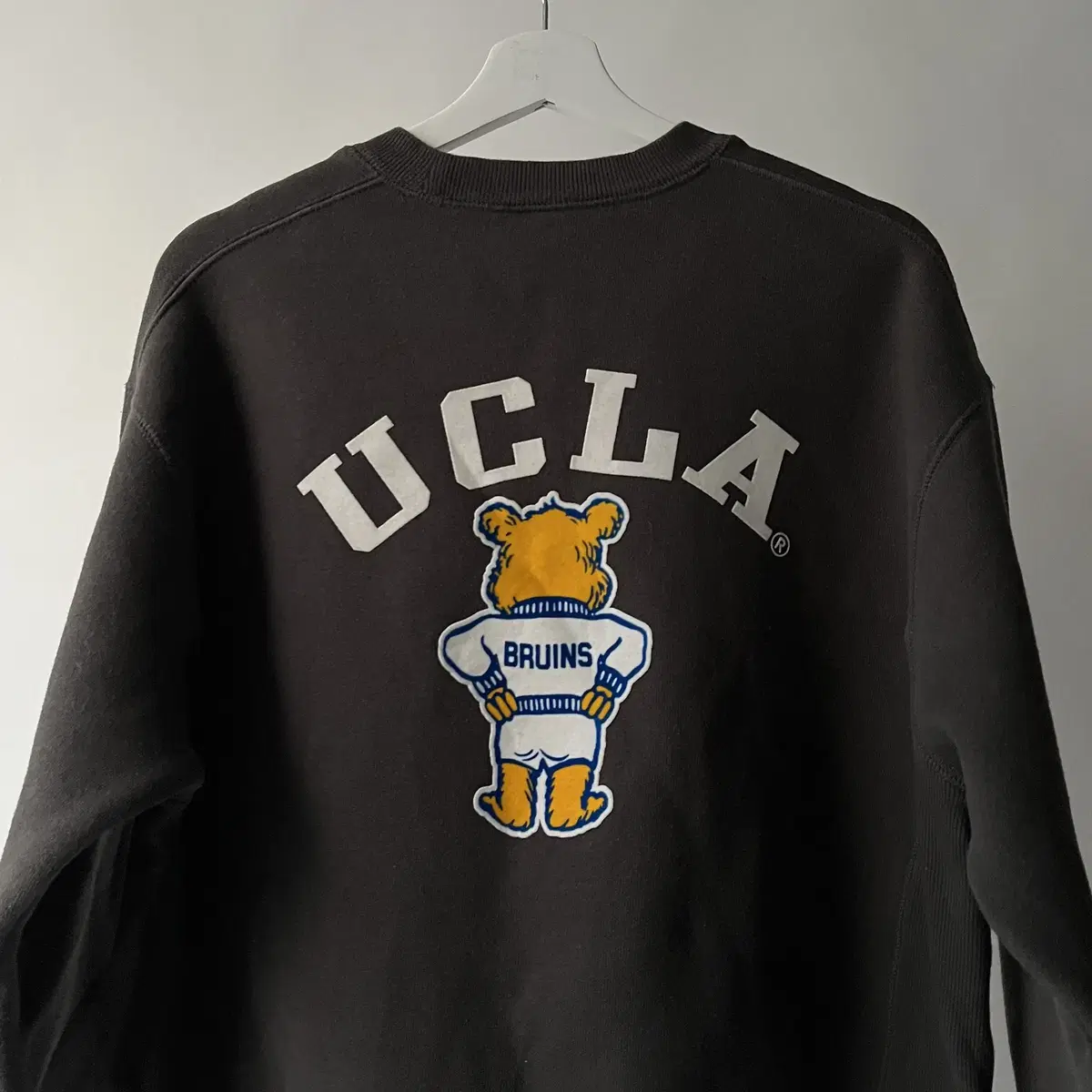 UCLA sweatshirt