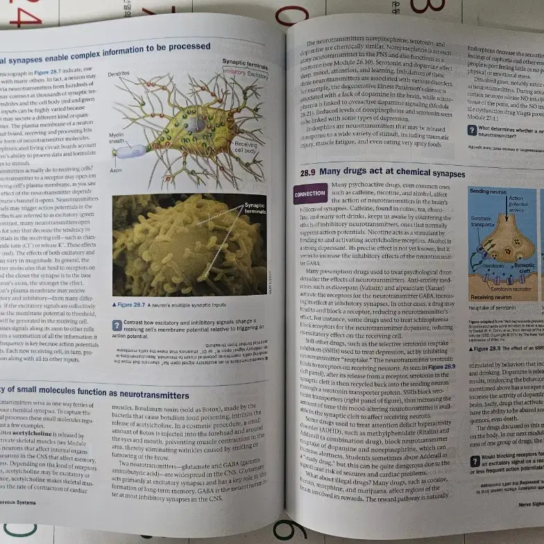 Campbell Biology 9th edition