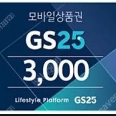 gs253000원권