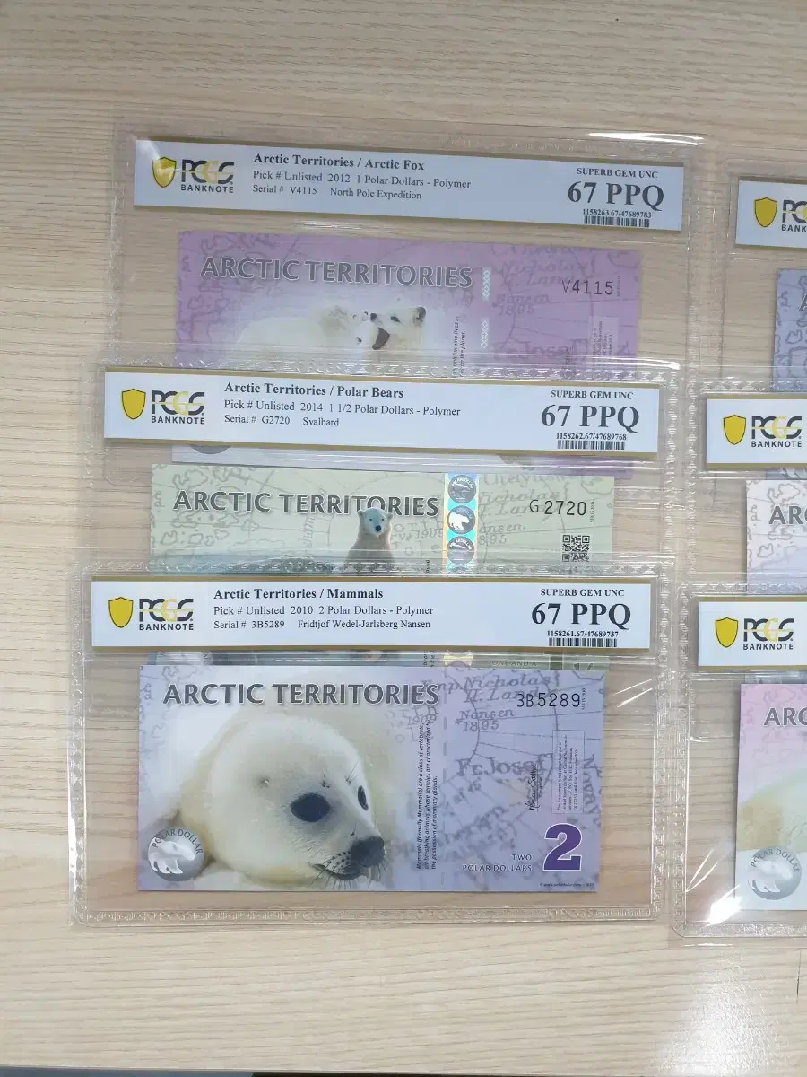 폴리머  북극곰 지폐 PCGS 67등급  6종 세트