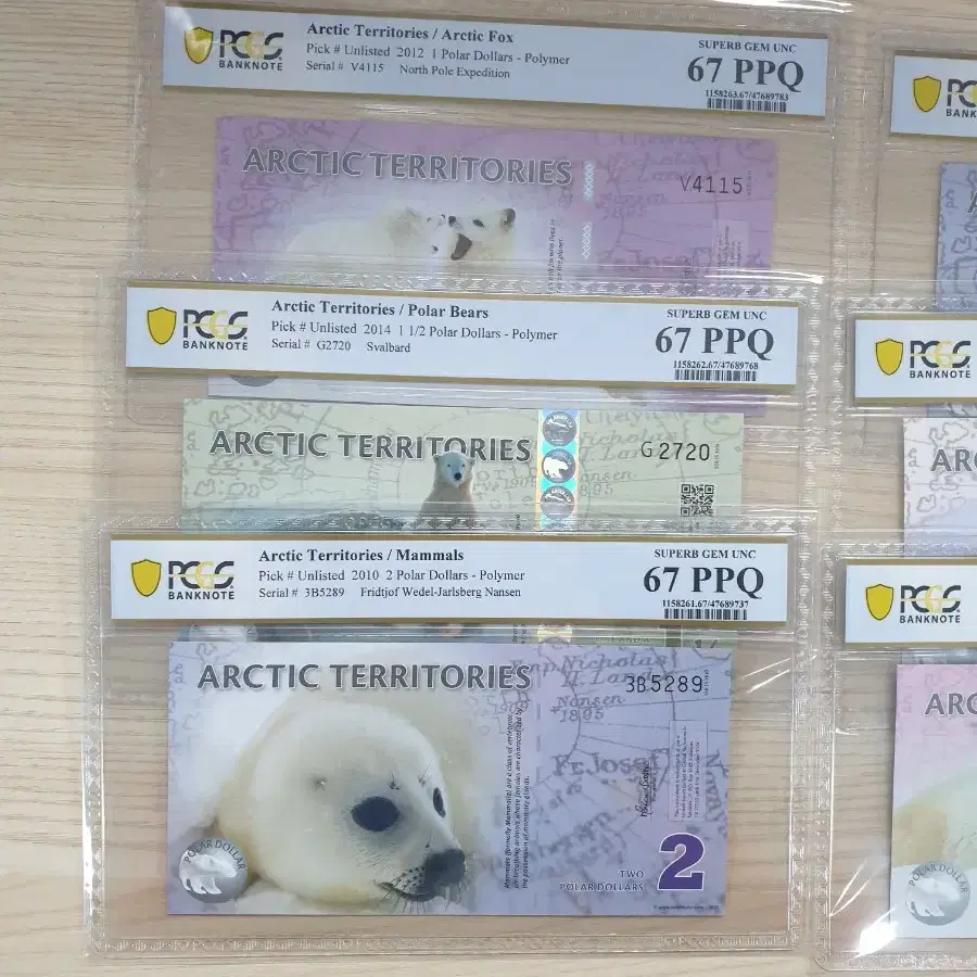 폴리머  북극곰 지폐 PCGS 67등급  6종 세트