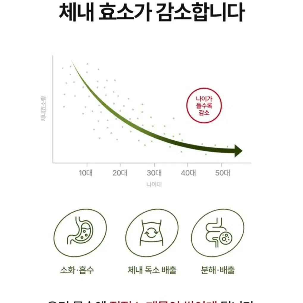 브로멜라인 2통