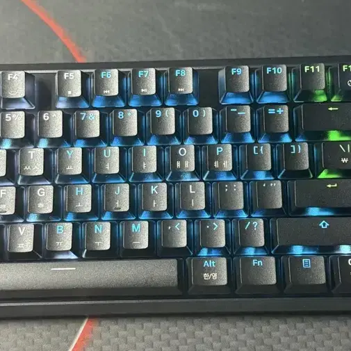 래피드 트리거 K70 PRO TKL MGX s급