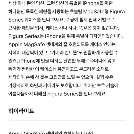 애플 16 프로 MagSafe 케이스