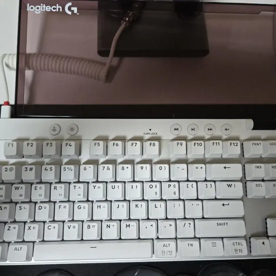 로지텍 PRO X TKL RAPID 래피드 트리거 키보드 화이트 팝니다.