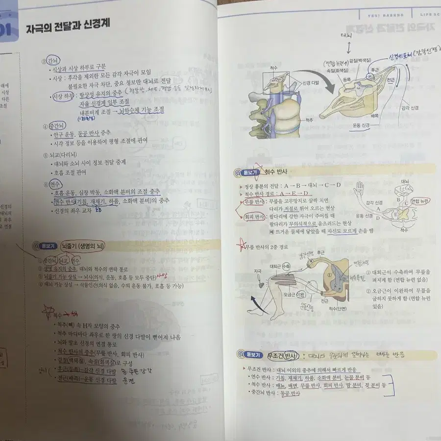 백호 생명과학1 일괄