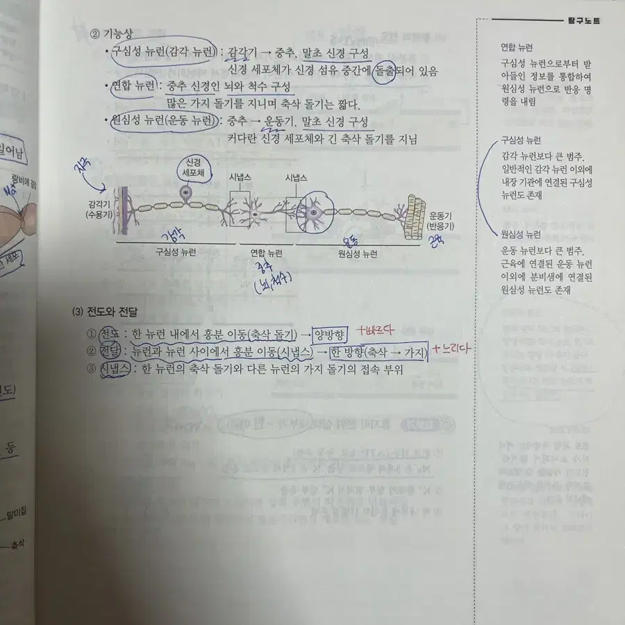 백호 생명과학1 일괄