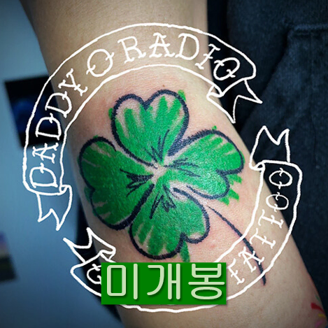 데디오레디오 - GREEN TATOO (미개봉, CD)