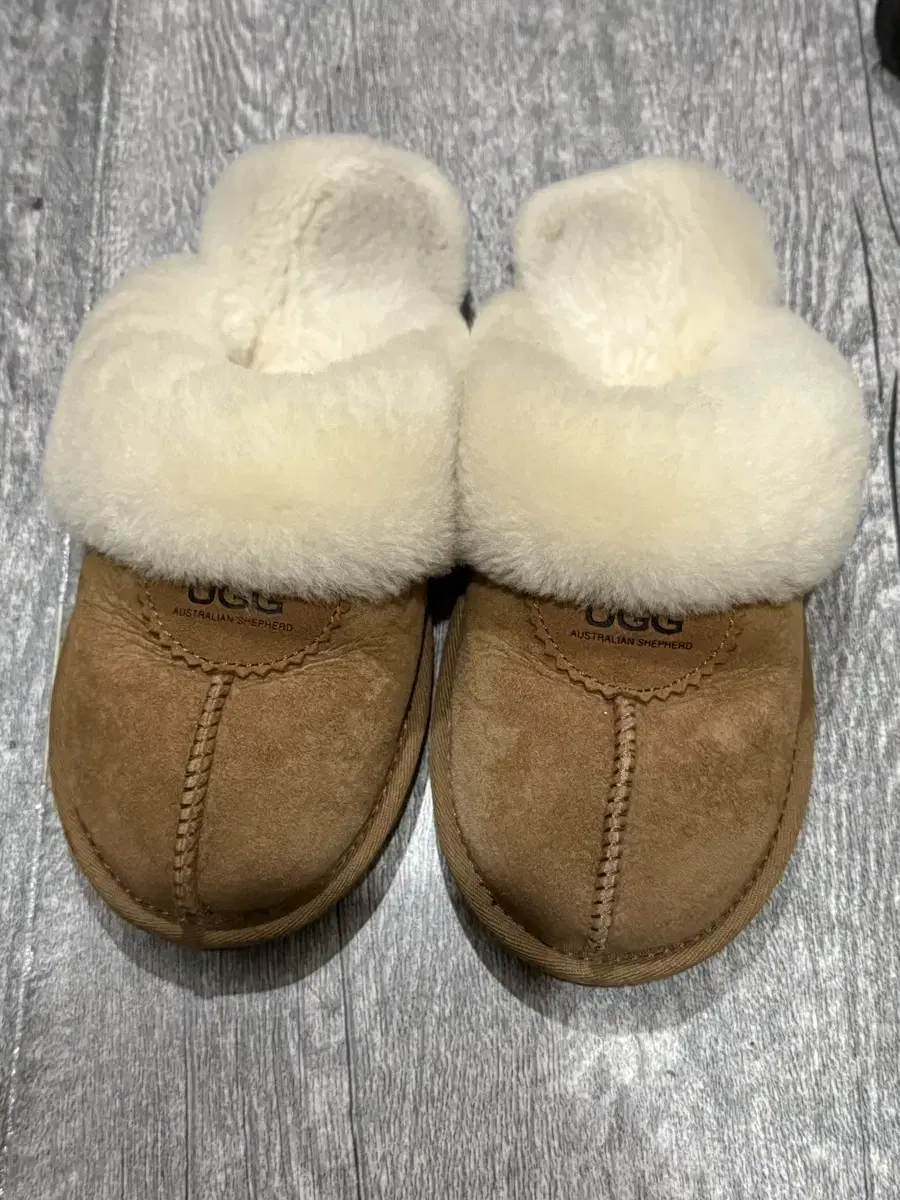 Genuine Australian Ugg Coggett 235