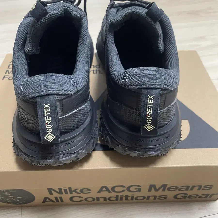 나이키 ACG 마운틴 플라이2 로우 Gore tex 270